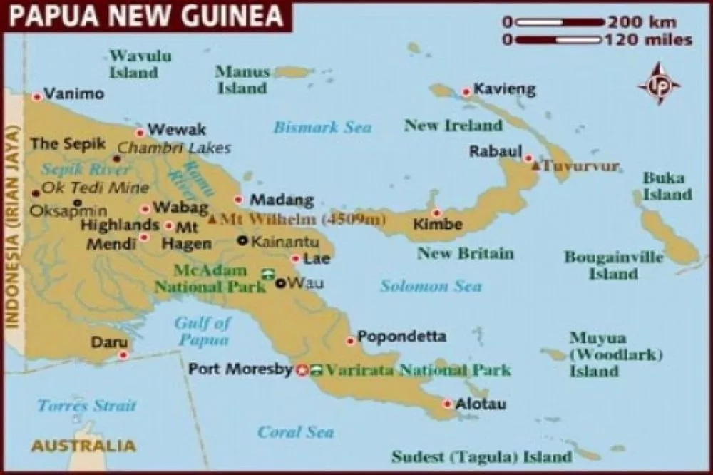 Flu Babi Afrika Serang Papua Nugini