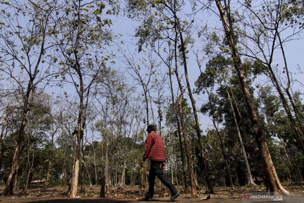 BMKG: Suhu Maksimal April 36 Derajat