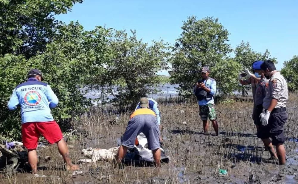 Warga Pantai Watu Kodok Gunungkidul Geger, Ada Mayat Tak Berkepala