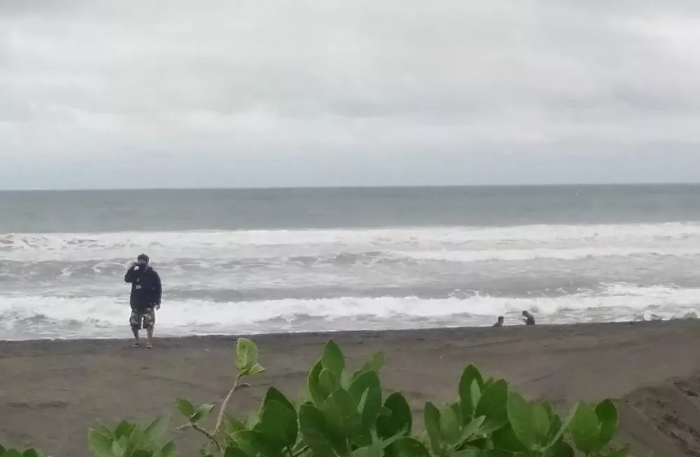 Dua Bulan Ditutup, Pelaku Usaha di Pantai Depok Bantul Menjerit