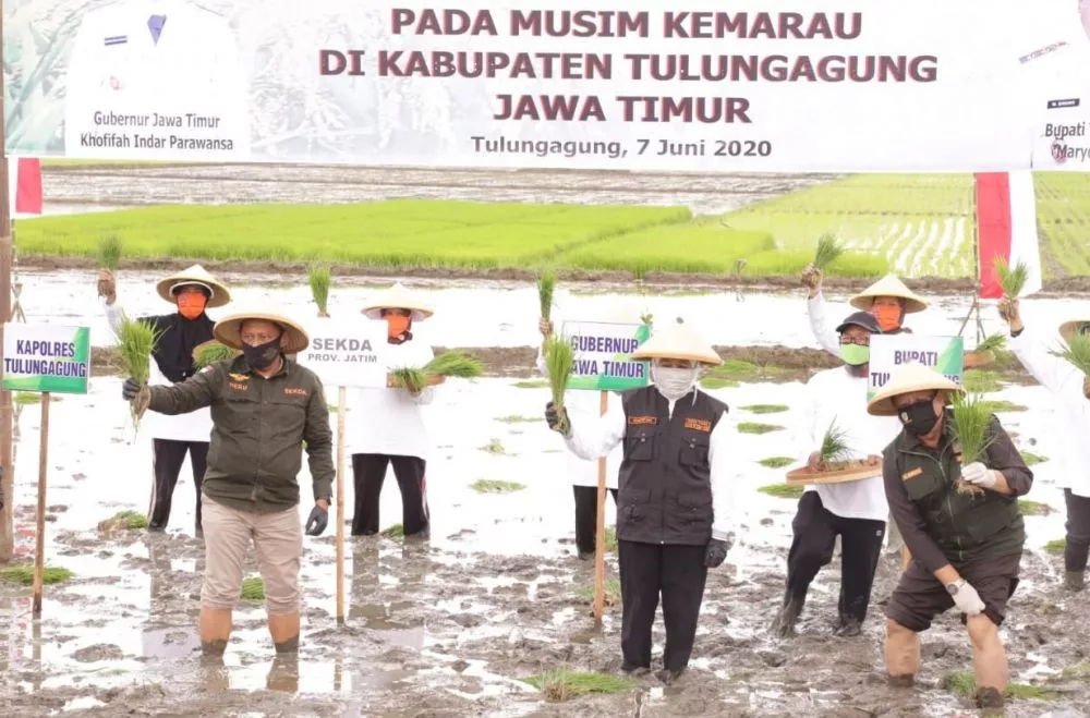 Wujudkan Ketahanan Pangan, Gubernur Khofifah Percepat Tanam Padi