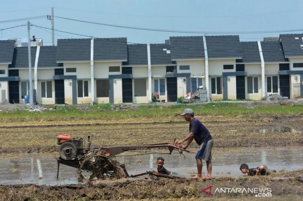 Dewan Minta Pemerintah Perhatikan Nasib Petani