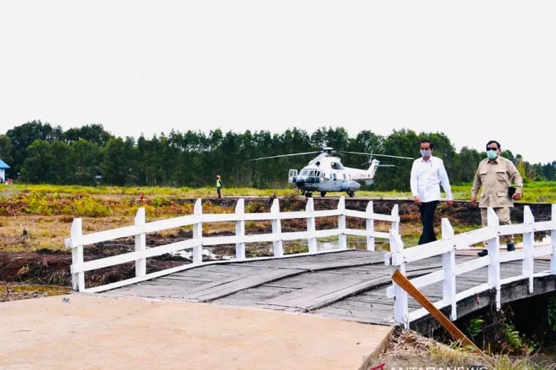 Dikawal Prabowo, Presiden Kunjungi Lumbung Pangan di Kalteng