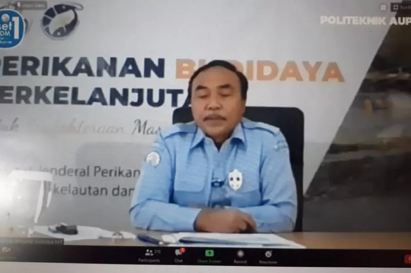 KKP Tebar Benih Rajungan