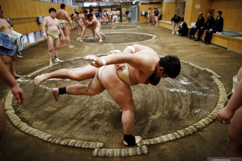 Sumo akan Digelar Lagi dengan Penonton