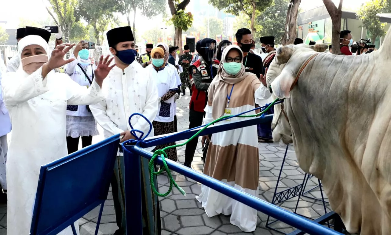 Gubernur dan Wakil Gubernur Serahkan Kurban di Masjid Al Akbar