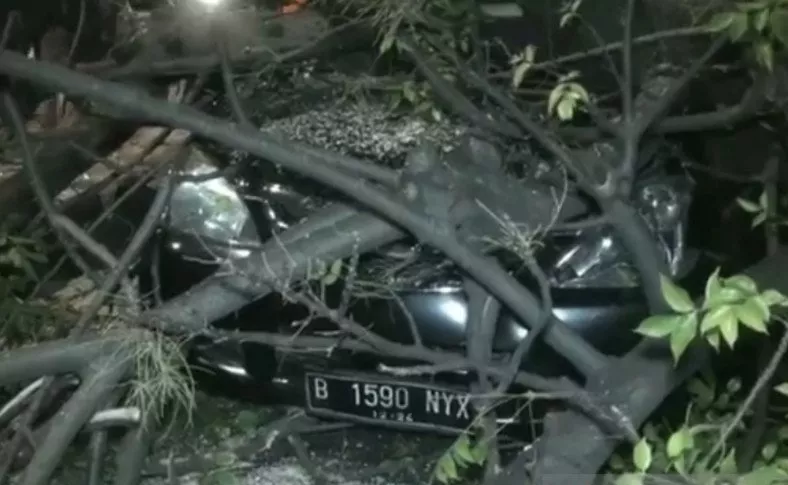 Tiga Pengendara Terluka Tertimpa Pohon di Jakarta