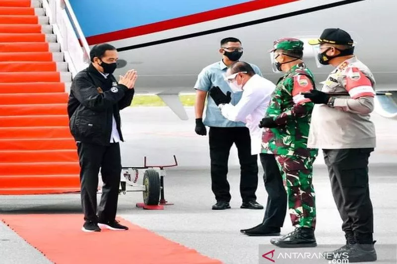 Jokowi: Food Estate Hasilkan Kentang hingga Bawang Merah