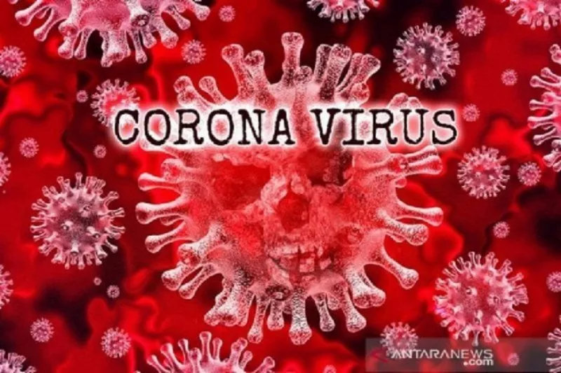 Waspada! Virus Corona Ditemukan di Daging Sapi dan Ikan