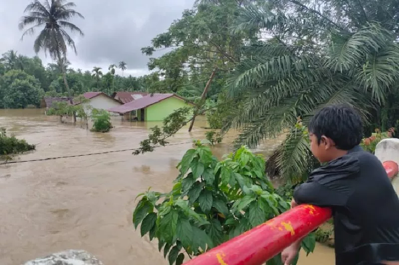 WALHI: Banjir di Aceh karena Fungsi Hutan Sudah Berubah