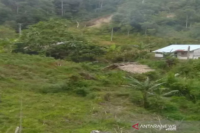 Pembunuhan Satu Keluarga di Sigi Undang Simpati dan Empati