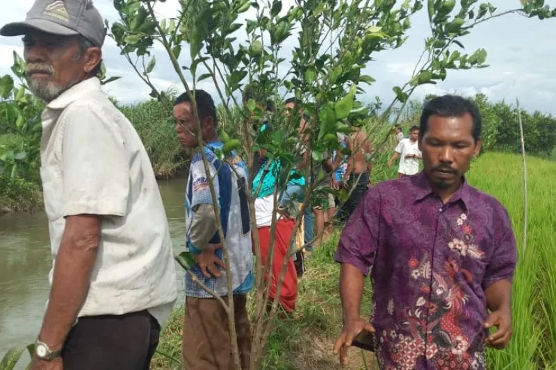 Warga Pasaman Barat, Sumatera Barat Hilang Diduga Diterkam Buaya