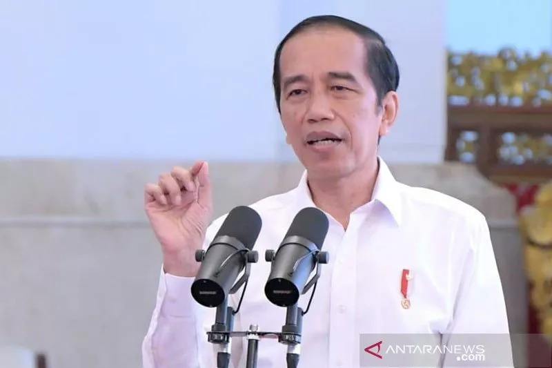 Tiga Pandangan Jokowi di KTT Perubahan Iklim