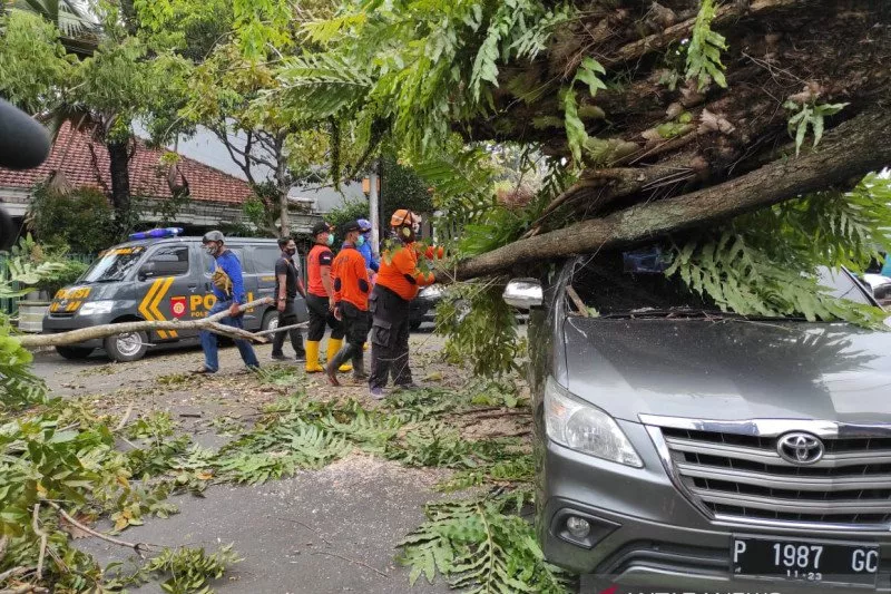 Angin Kencang, Tiga Terluka Tertimpa Reklame di Jember