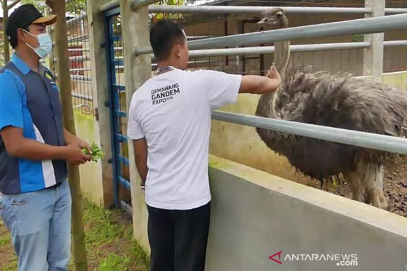 Kebun Binatang Mini Dikembangkan di Temanggung