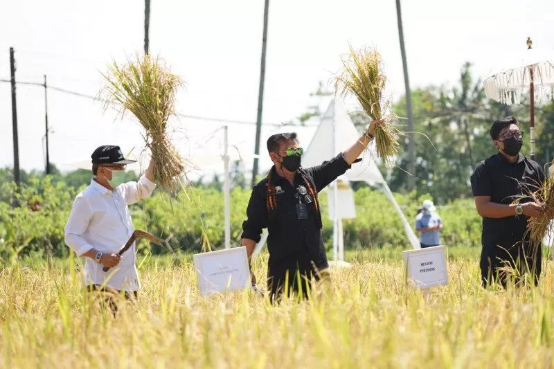 Mentan Dorong Pengembangan Agrowisata