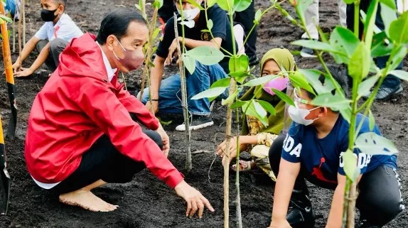Presiden: Rehabilitasi Mangrove Akan Terus Kita Lakukan