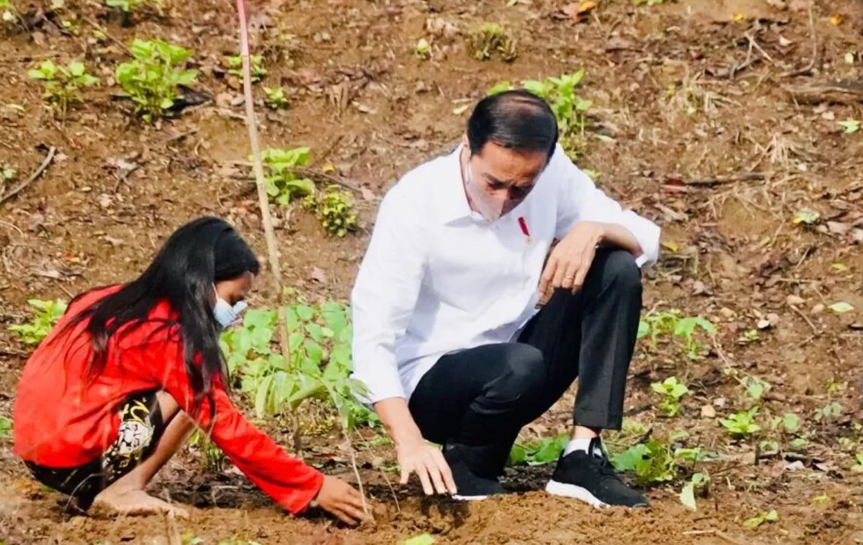 Presiden Jokowi Tanam Pohon Bersama Masyarakat NTB