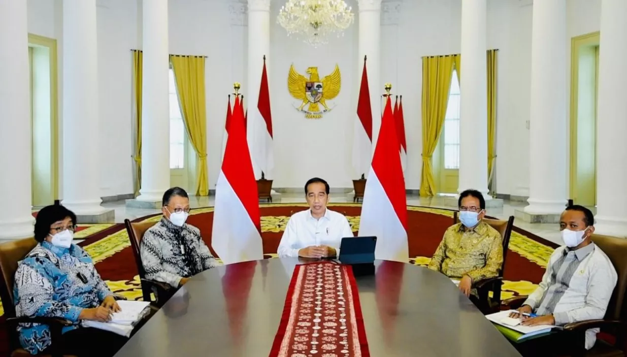 Pemerintah Cabut Ribuan Izin Usaha Tambang, Kehutanan, dan HGU Perkebunan
