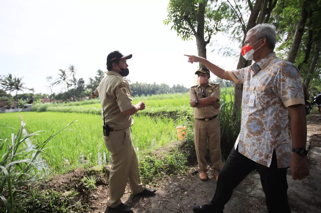 Ganjar Dorong Petani Klaten Budidayakan Padi Organik