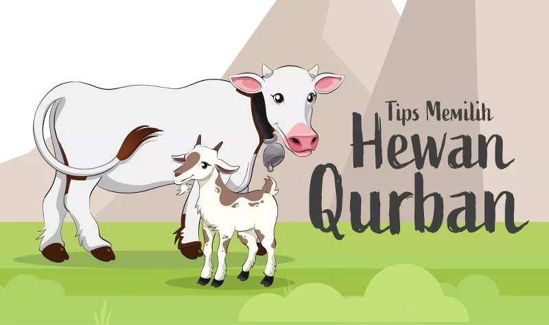 Tips Memilih Hewan Qurban Sesuai dengan Syariat Islam
