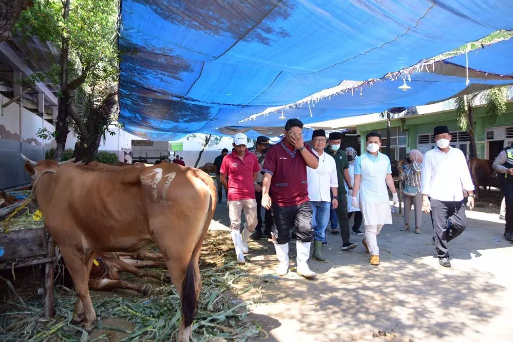 Plt. Gubernur Jatim Pastikan Kualitas Hewan Terjamin Sehat