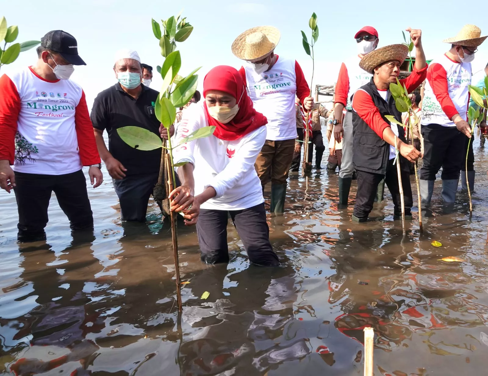 Gubernur Khofifah: Mari Sedekah Oksigen Dengan Menanam Mangrove