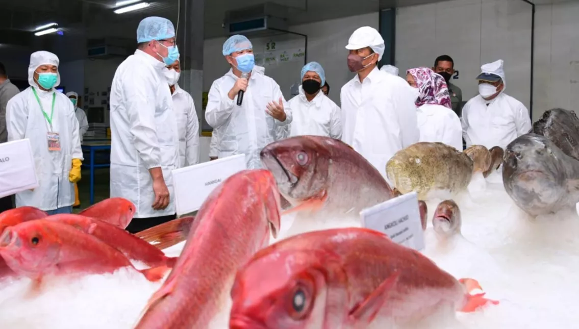 Presiden Jokowi Tinjau Unit Pengolahan Ikan dan Budidaya Rumput Laut