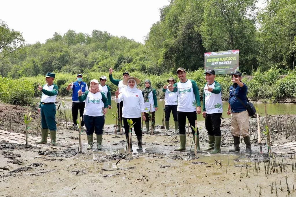 Khofifah: Kuatkan Sinergi Hulu Hilir Untuk Jaga Ekosistem Mangrove
