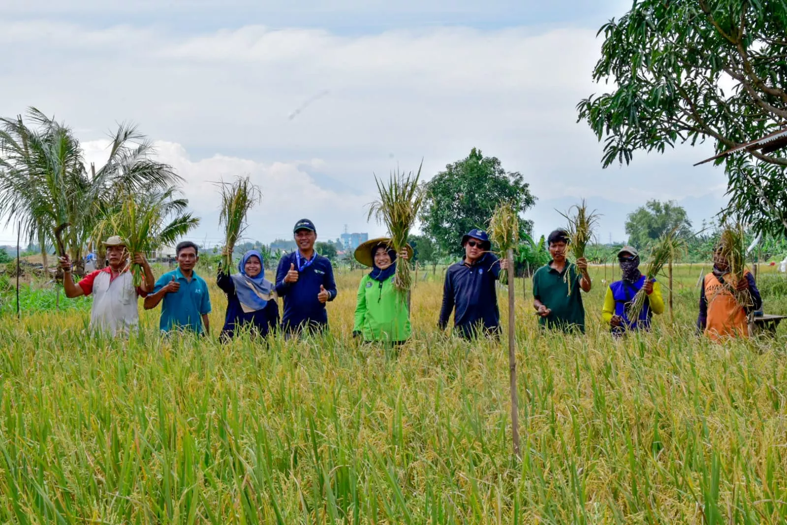 Petani Surabaya Panen 22,4 Ton Padi di Lahan Milik Pemkot