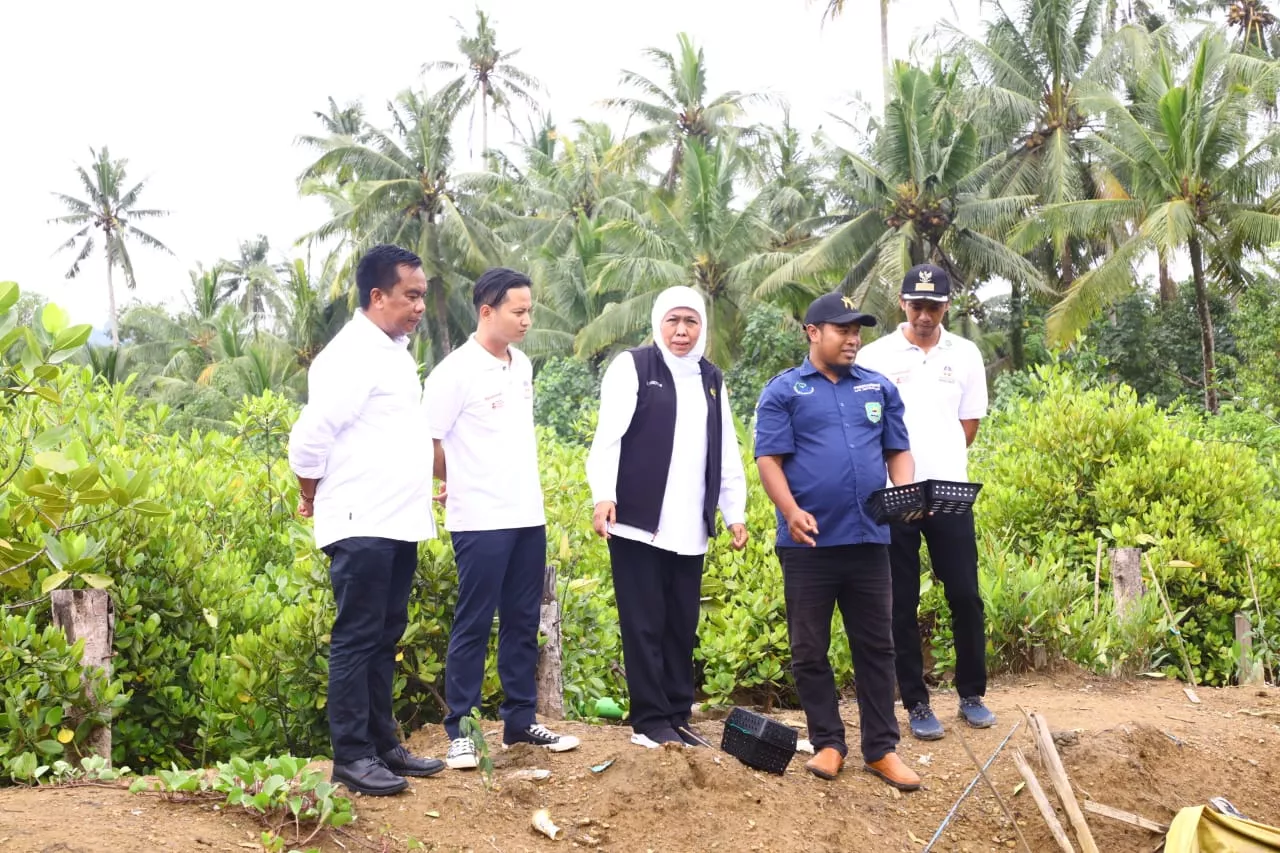 Gubernur Khofifah Dorong Hilirisasi Produk UMKM Berbasis Mangrove Selaras Pelestarian Ekosistem