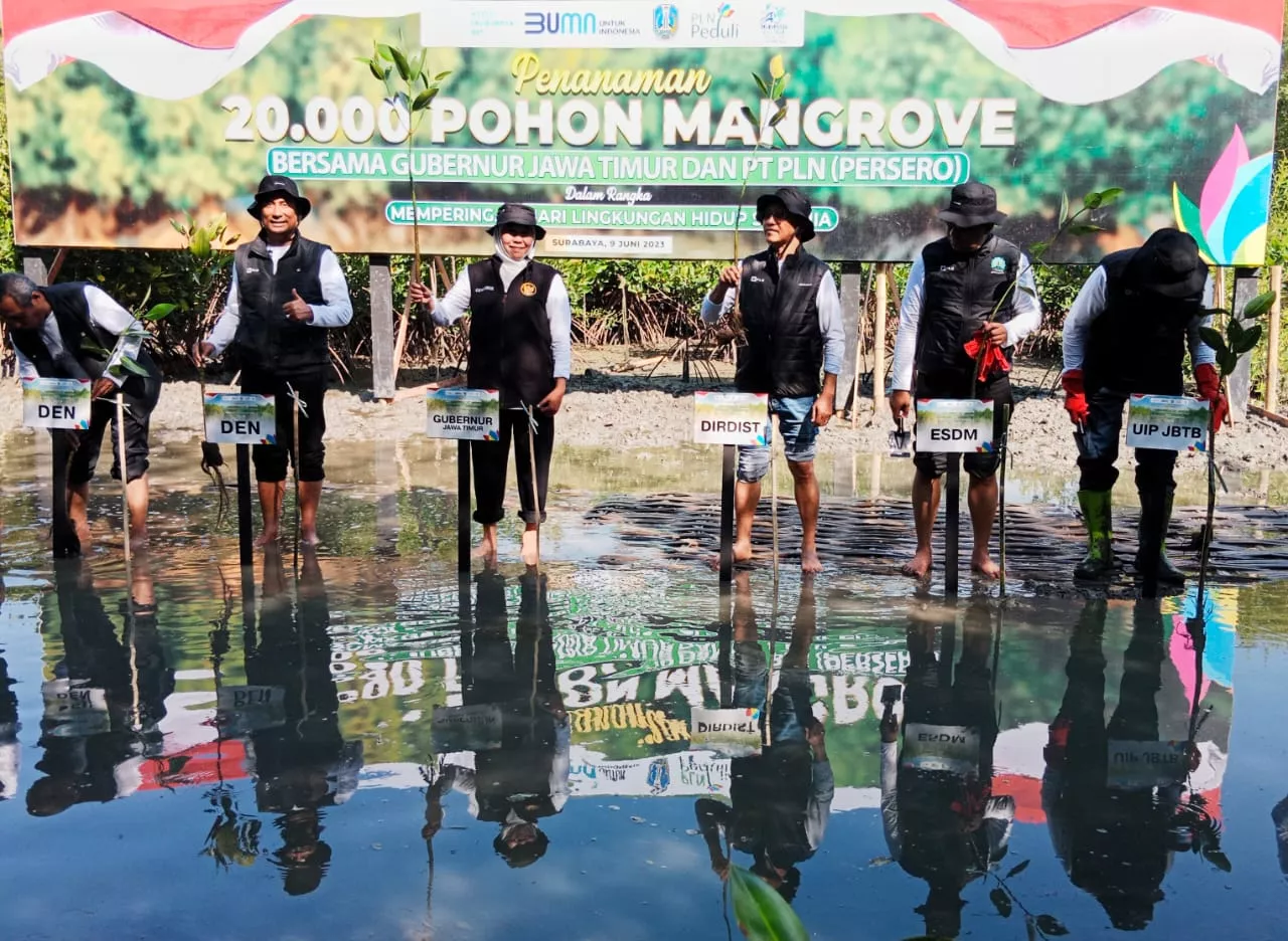 Gubernur Khofifah: Upaya Nyata Jaga Lingkungan untuk Lestarikan Alam