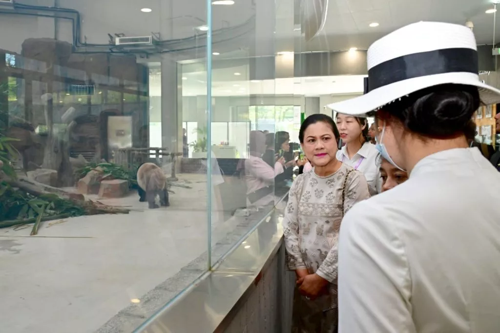 Pagi Hari di Chengdu, Iriana Tinjau Pusat Pembiakan Panda