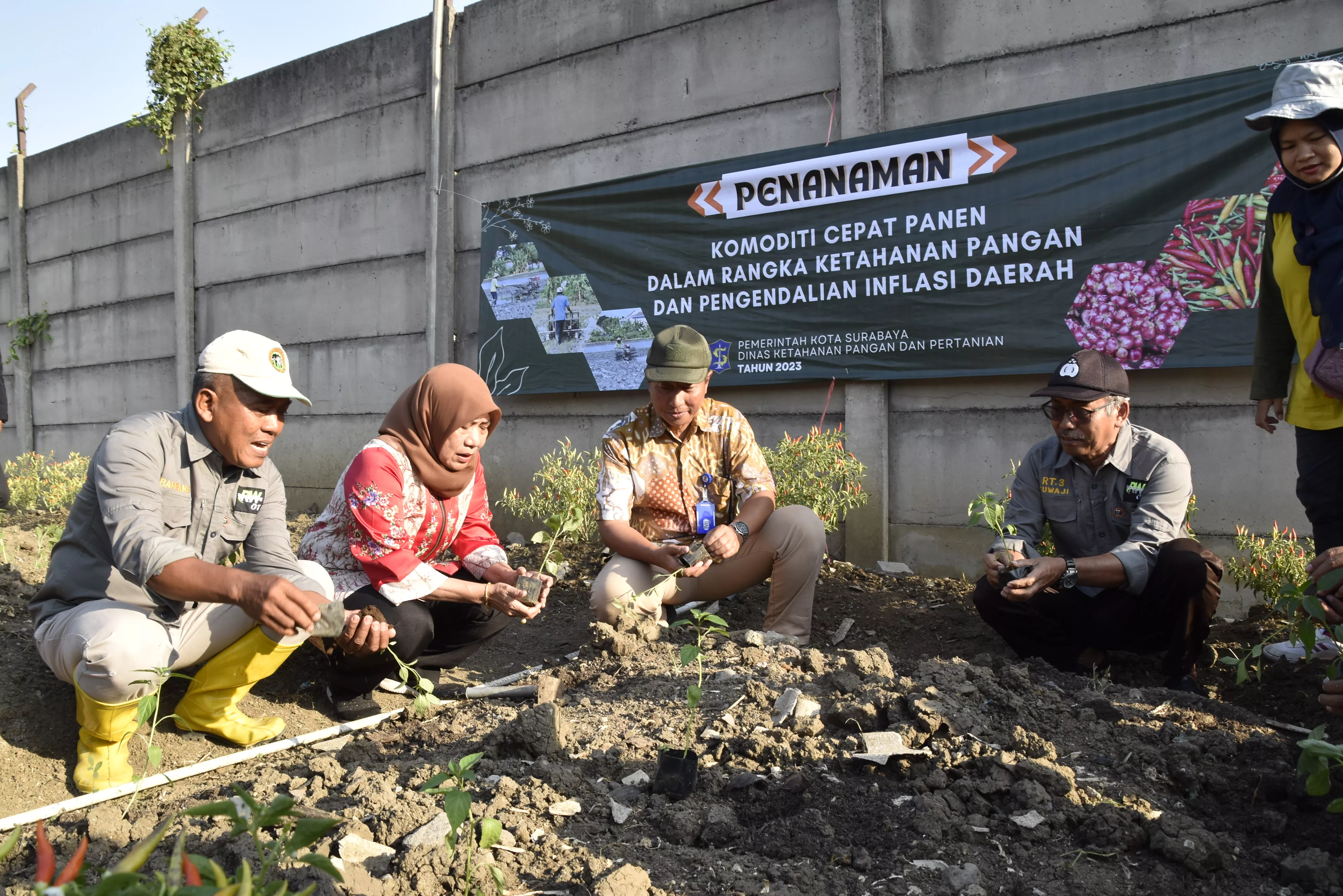 Kendalikan Inflasi, Pemkot Surabaya Tanam Cabai Serentak Bersama Kelompok Tani Se-Surabaya