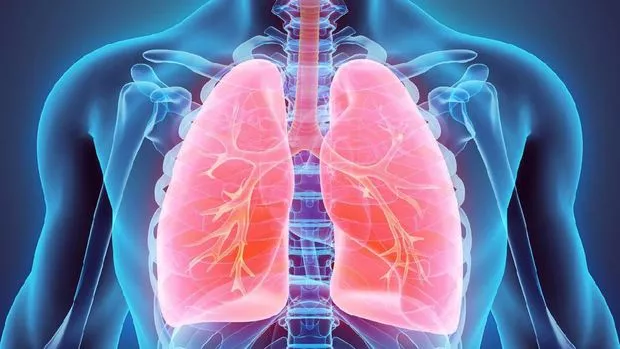 7 Tips Menjaga Organ Pernapasan agar Tetap Sehat