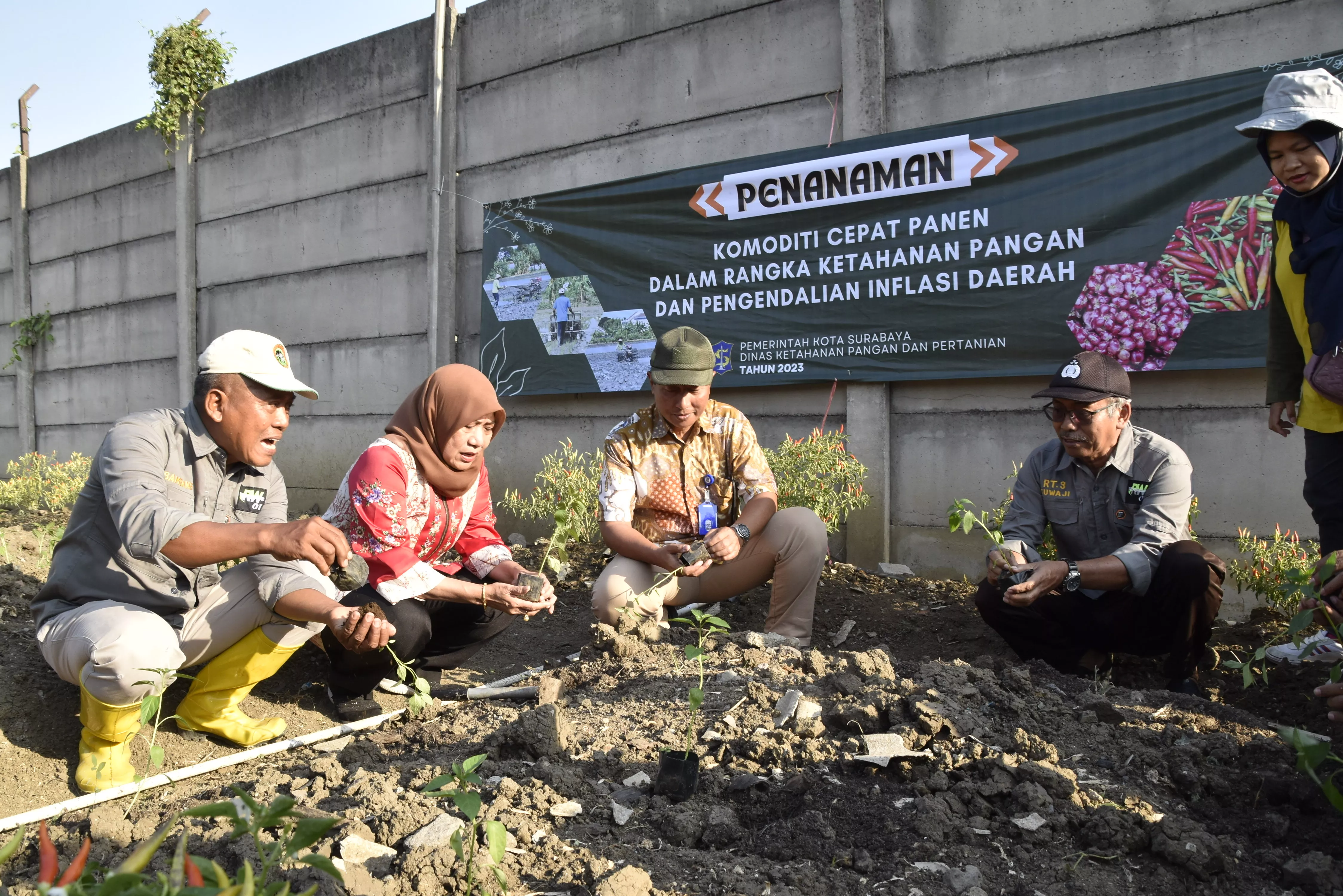 Ini Solusi Pemkot Surabaya Atasi Kenaikan Harga Cabai
