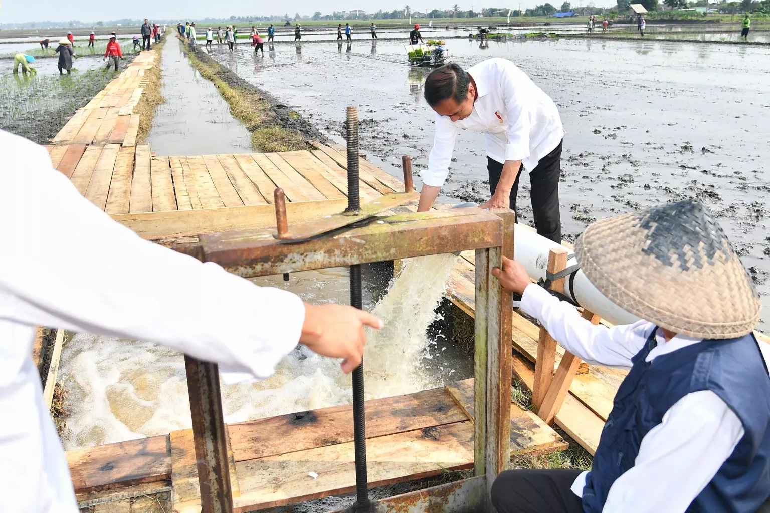 Presiden Joko Widodo Tinjau Program Pompanisasi di Lampung Selatan