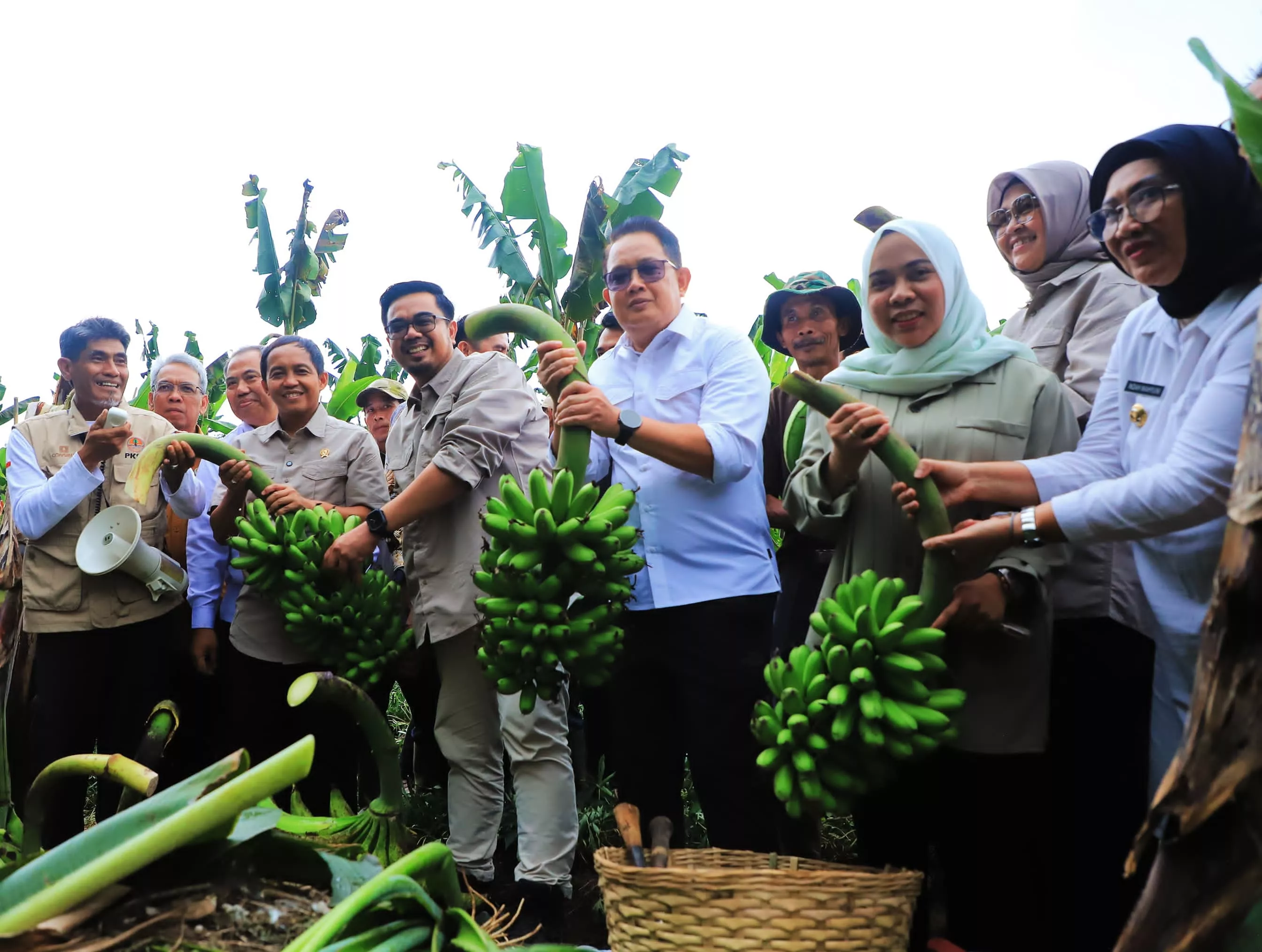 Pemanfaatan Hutan Sosial Lumajang Jadi Strategi Atasi Kemiskinan Ekstrem di Jatim