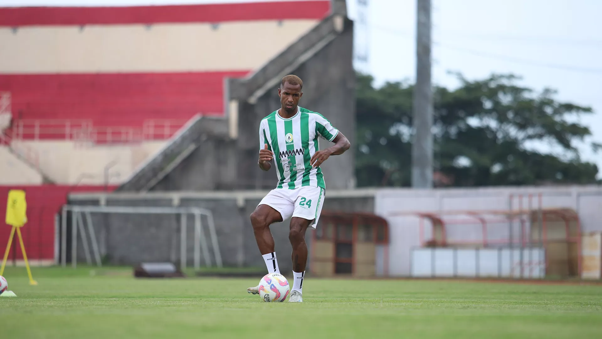 PSS Sleman Kembali Berlatih, Nicolao Cardoso Soroti Evaluasi Tim Jelang Duel Kontra Bali United