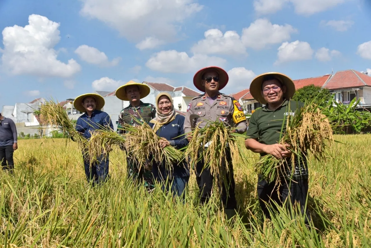 Dorong Produksi Padi di Tengah Kota, Pemkot Surabaya Genjot Bantuan Alsintan dan Perbaikan Irigasi