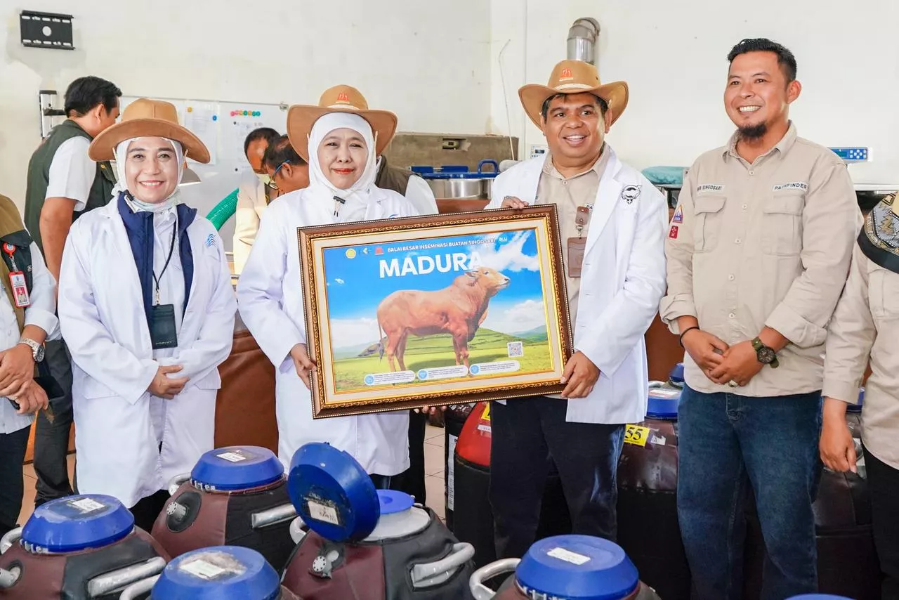 Khofifah Optimistis Swasembada Daging Tercapai Tiga Tahun, Apresiasi Inovasi BBIB Singosari