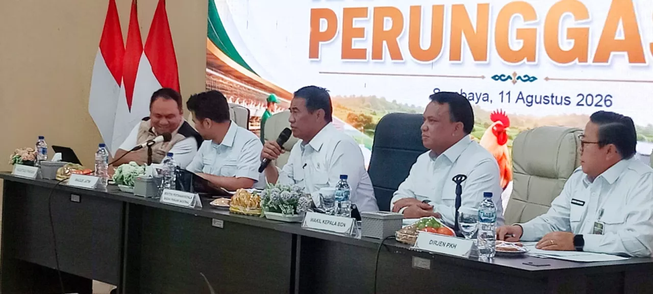 Mentan Amran Ultimatum Importir Pakan: Main Harga, Izin Dicabut!