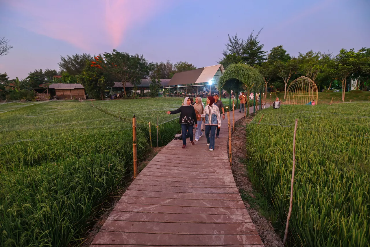 Garden Fest Hidupkan Wisata Sawah Malam Hari di Hutan Kota Jeruk Surabaya